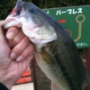 Thumbnail of related posts 014