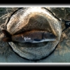 Thumbnail of related posts 078