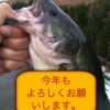 Thumbnail of related posts 110