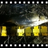 Thumbnail of related posts 074