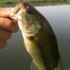 Thumbnail of related posts 108