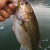 Thumbnail of related posts 037