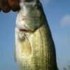 Thumbnail of related posts 114
