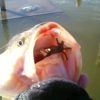 Thumbnail of related posts 165