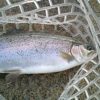Thumbnail of related posts 148
