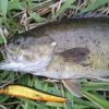 Thumbnail of related posts 024
