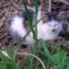Thumbnail of related posts 027