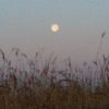 Thumbnail of related posts 154