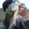 Thumbnail of related posts 027