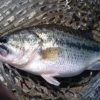 Thumbnail of related posts 151