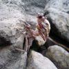 Thumbnail of related posts 059