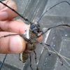 Thumbnail of related posts 079