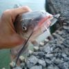Thumbnail of related posts 024