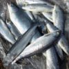 Thumbnail of related posts 126