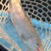 Thumbnail of related posts 071