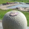 Thumbnail of related posts 066