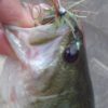 Thumbnail of related posts 180