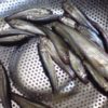 Thumbnail of related posts 172
