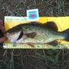 Thumbnail of related posts 037