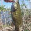 Thumbnail of related posts 189