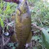Thumbnail of related posts 022