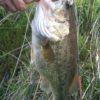 Thumbnail of related posts 100
