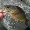 Thumbnail of related posts 039