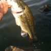 Thumbnail of related posts 035