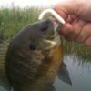 Thumbnail of related posts 154