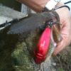 Thumbnail of related posts 122