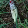 Thumbnail of related posts 078