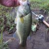 Thumbnail of related posts 135