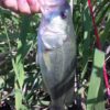 Thumbnail of related posts 047