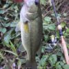 Thumbnail of related posts 123
