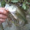 Thumbnail of related posts 073