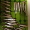 Thumbnail of related posts 064