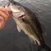 Thumbnail of related posts 029