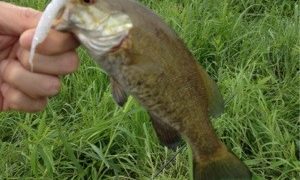 Thumbnail of post image 016