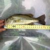 Thumbnail of related posts 074