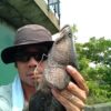 Thumbnail of related posts 172