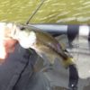 Thumbnail of related posts 044