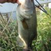Thumbnail of related posts 014