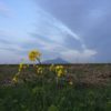 Thumbnail of related posts 034