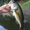 Thumbnail of related posts 011