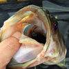 Thumbnail of related posts 038