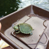Thumbnail of related posts 126