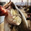 Thumbnail of related posts 089
