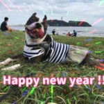 Thumbnail of post image 174