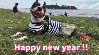 Thumbnail of post image 001
