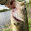 Thumbnail of related posts 172